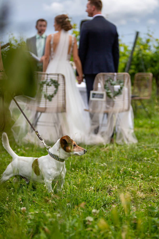 Hochzeit-Nancy-und-Andre-Weingut-Glaser-in-Nordheim-am-Main