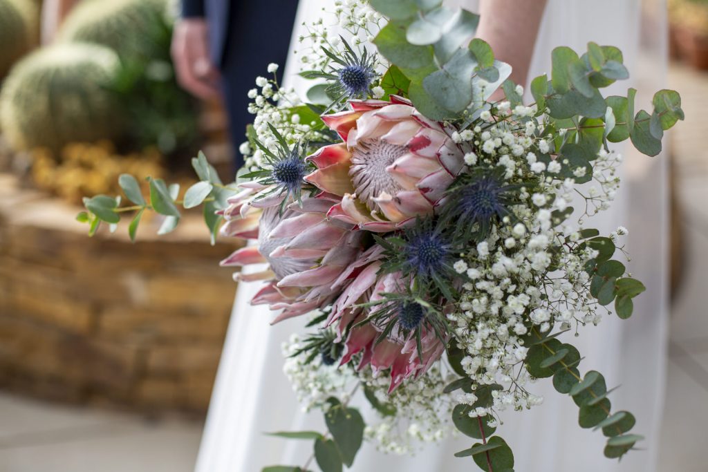 Hochzeit Stephanie und Claudius in Filderstadt und im Biodom Esslingen