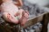 Baby Newborn Fotoshooting in Wertheim-Bettingen