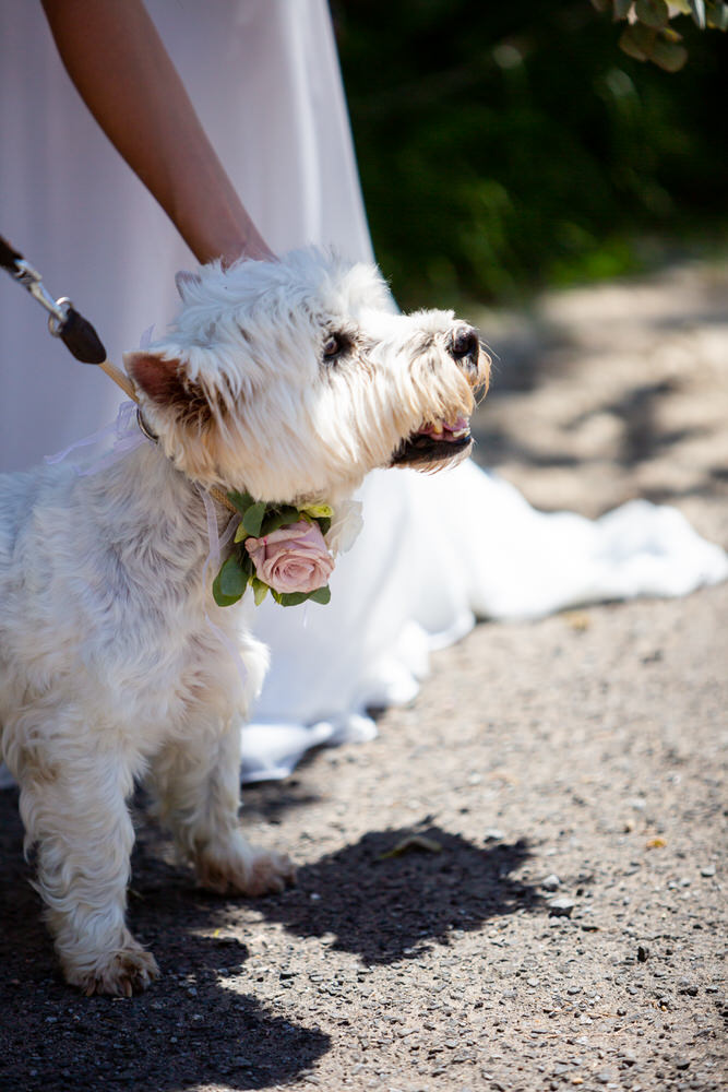 Hochzeit in Würzburg Rottendorf und Kitzingen