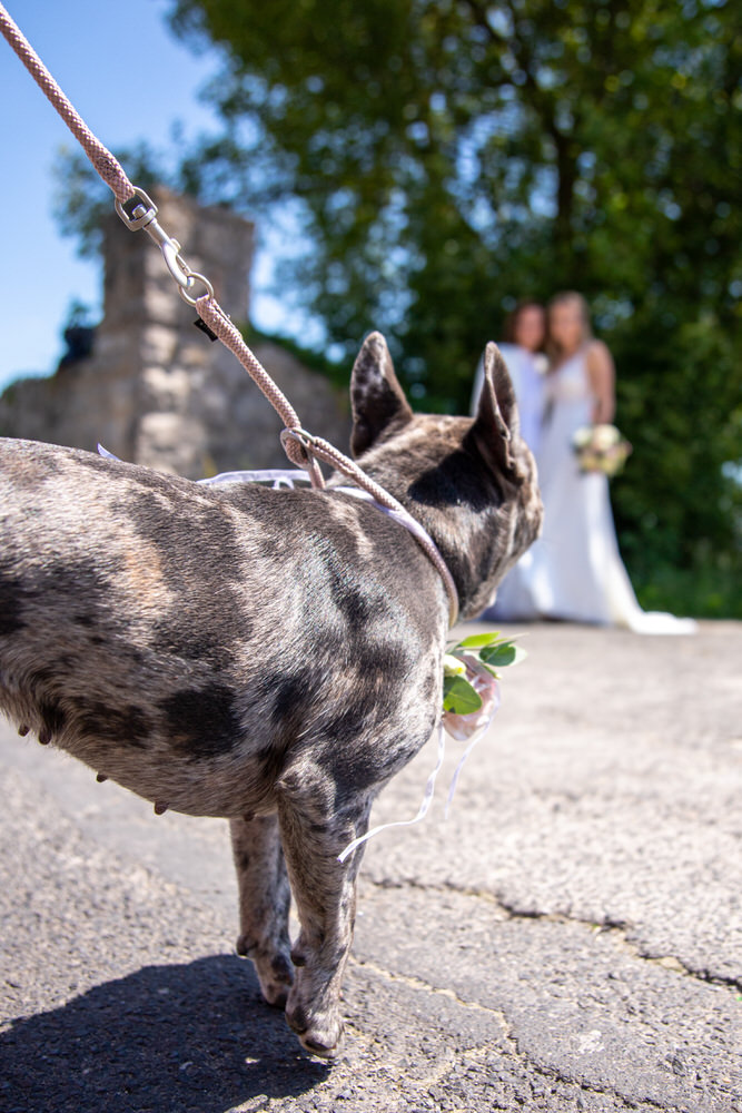 Hochzeit in Würzburg Rottendorf und Kitzingen