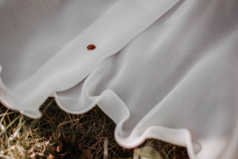 Hochzeit in Creglingen und Hochzeitsfeier in der Uhlenmühle in Aub